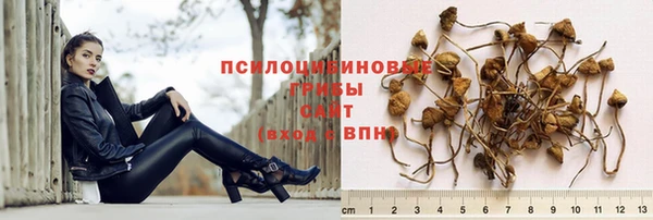 прущая мука Корсаков