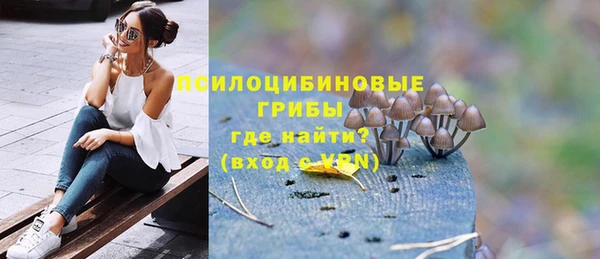 прущая мука Корсаков